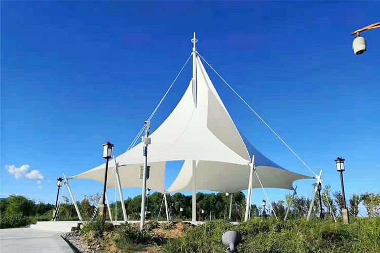 黄瓜视频APP下载安装公司